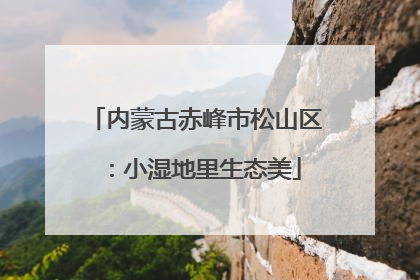 内蒙古赤峰市松山区：小湿地里生态美