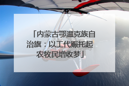 内蒙古鄂温克族自治旗：以工代赈托起农牧民增收梦