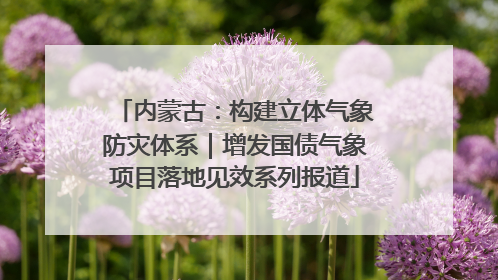 内蒙古：构建立体气象防灾体系｜增发国债气象项目落地见效系列报道