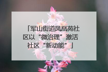 军山街道凤凰苑社区以“微治理”激活社区“新动能”