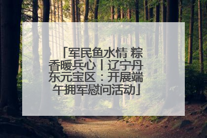 军民鱼水情 粽香暖兵心丨辽宁丹东元宝区：开展端午拥军慰问活动