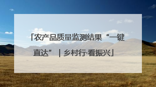 农产品质量监测结果“一键直达”｜乡村行·看振兴