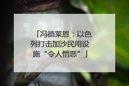 冯德莱恩：以色列打击加沙民用设施“令人憎恶”