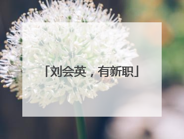 刘会英，有新职