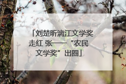 刘楚昕漓江文学奖走红 张一一“农民文学奖”出圈