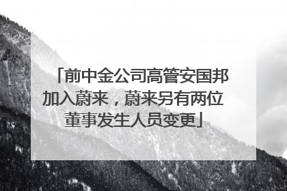 前中金公司高管安国邦加入蔚来，蔚来另有两位董事发生人员变更