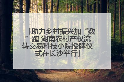 助力乡村振兴加“数”跑 湖南农村产权流转交易科技小院授牌仪式在长沙举行