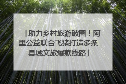助力乡村旅游破圈！阿里公益联合飞猪打造多条县域文旅爆款线路