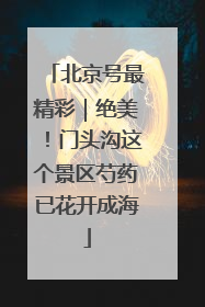 北京号最精彩｜绝美！门头沟这个景区芍药已花开成海
