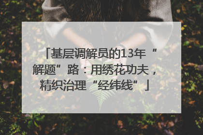 基层调解员的13年“解题”路：用绣花功夫，精织治理“经纬线”