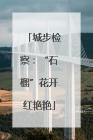 城步检察：“石榴”花开红艳艳