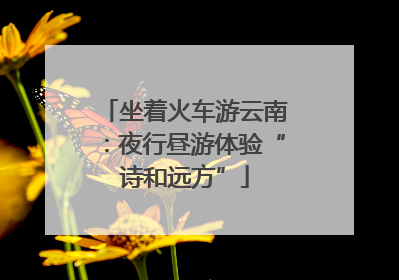 坐着火车游云南：夜行昼游体验“诗和远方”