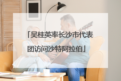 吴桂英率长沙市代表团访问沙特阿拉伯