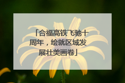 合福高铁飞驰十周年，绘就区域发展壮美画卷