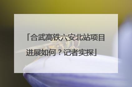 合武高铁六安北站项目进展如何？记者实探