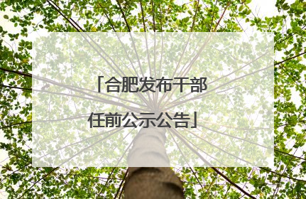 合肥发布干部任前公示公告