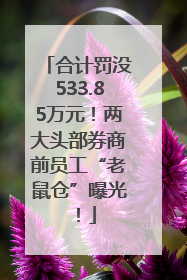 合计罚没533.85万元！两大头部券商前员工“老鼠仓”曝光！
