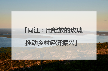 同江：用绽放的玫瑰 推动乡村经济振兴