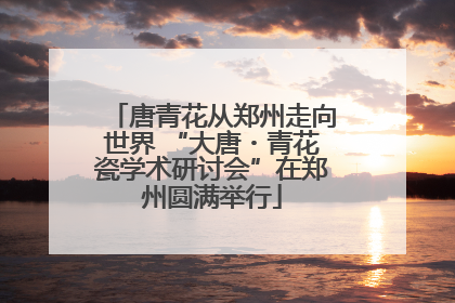 唐青花从郑州走向世界 “大唐・青花瓷学术研讨会”在郑州圆满举行