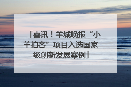 喜讯！羊城晚报“小羊拍客”项目入选国家级创新发展案例