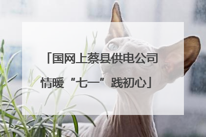 国网上蔡县供电公司情暖“七一”践初心