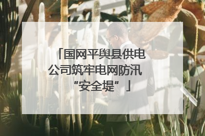 国网平舆县供电公司筑牢电网防汛“安全堤”
