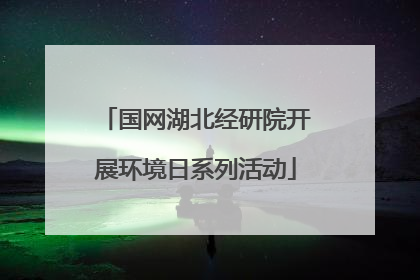 国网湖北经研院开展环境日系列活动