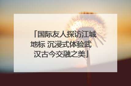 国际友人探访江城地标 沉浸式体验武汉古今交融之美