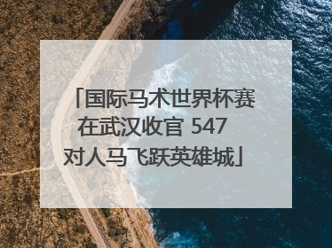 国际马术世界杯赛在武汉收官 547对人马飞跃英雄城