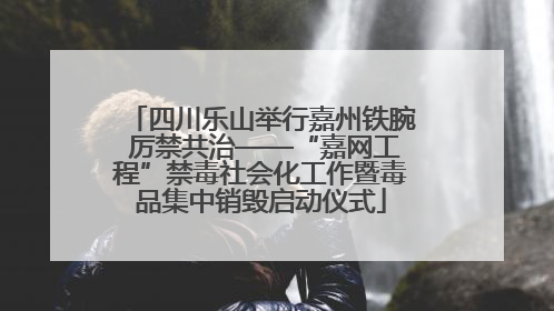 四川乐山举行嘉州铁腕 厉禁共治——“嘉网工程”禁毒社会化工作暨毒品集中销毁启动仪式