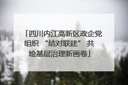 四川内江高新区政企党组织 “结对联建” 共绘基层治理新画卷