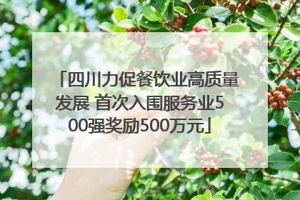 四川力促餐饮业高质量发展 首次入围服务业500强奖励500万元