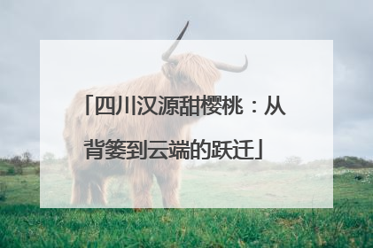 四川汉源甜樱桃：从背篓到云端的跃迁