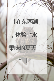 在东西湖，体验“水果味的夏天”