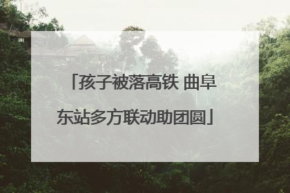 孩子被落高铁 曲阜东站多方联动助团圆