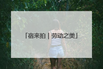 宿来拍｜劳动之美