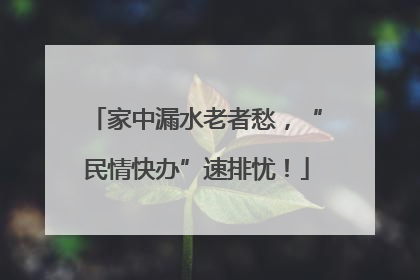 家中漏水老者愁，“民情快办”速排忧！