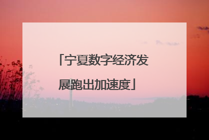 宁夏数字经济发展跑出加速度