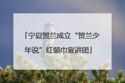 宁夏贺兰成立“贺兰少年说”红领巾宣讲团