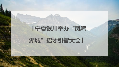 宁夏银川举办“凤鸣湖城”招才引智大会