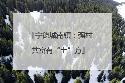 宁德城南镇：强村共富有“土”方