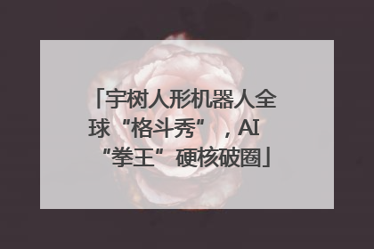 宇树人形机器人全球“格斗秀”，AI“拳王”硬核破圈