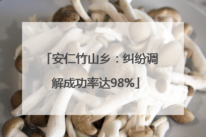 安仁竹山乡：纠纷调解成功率达98%