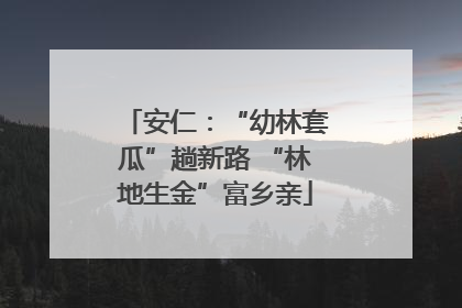 安仁：“幼林套瓜”趟新路 “林地生金”富乡亲