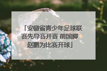 安徽省青少年足球联赛先导赛开赛 前国脚赵鹏为比赛开球