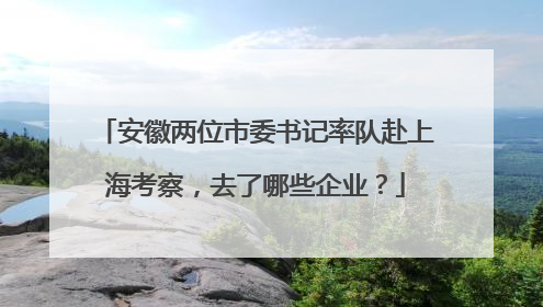 安徽两位市委书记率队赴上海考察，去了哪些企业？