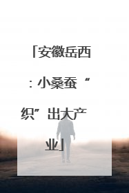 安徽岳西：小桑蚕“织”出大产业