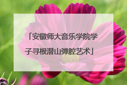 安徽师大音乐学院学子寻根潜山弹腔艺术