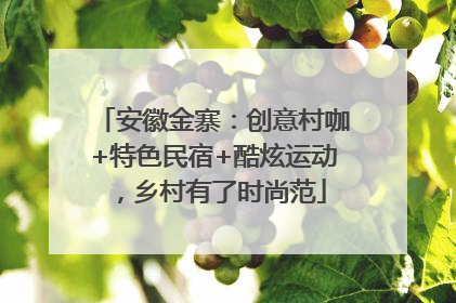 安徽金寨：创意村咖+特色民宿+酷炫运动，乡村有了时尚范