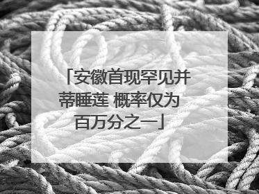 安徽首现罕见并蒂睡莲 概率仅为百万分之一